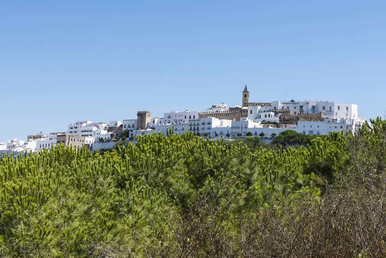 Panoramica Vejer de la Frontera Costa de la Luz II