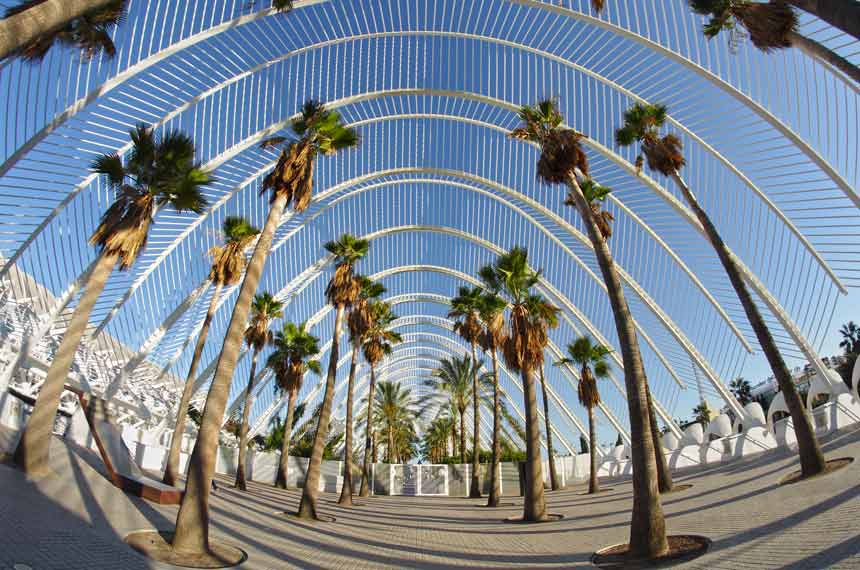 Palm Alley en la Ciudad de las Artes y las CIencias de Valencia