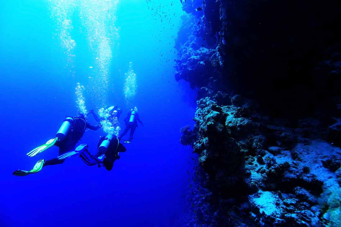 Imprescindibles de Jávea submarinismo en Javea en la Costa del sol