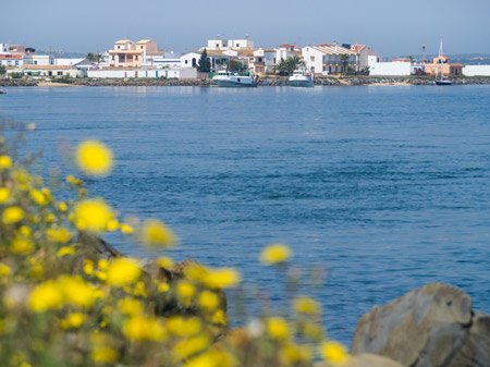 isla canela en Huelva