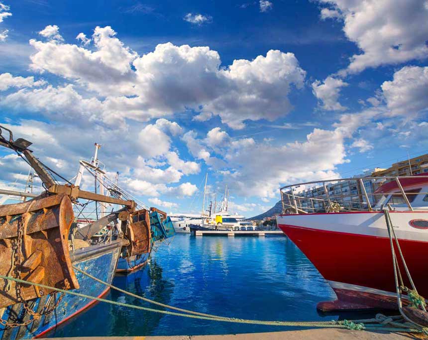 The essential tourist spots of Denia Fishing boats and lonja in Denia port