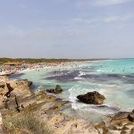 Es Trenc beach Mallorca