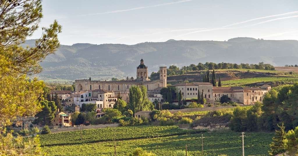 Vista panoramica del monasterio de Santes Creus