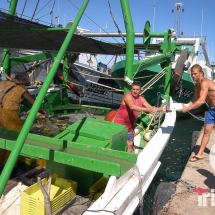 llegada de los barcos de pesca de cambrils